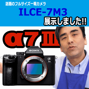 sony ソニー　α7Ⅲ