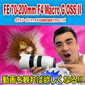 sony ソニー　レンズ　SEL70200G2　望遠　ズーム