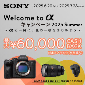 sony ソニー　α　一眼カメラ　レンズ　シネマライン　VLOGCAM　キャッシュバック　キャンペーン
